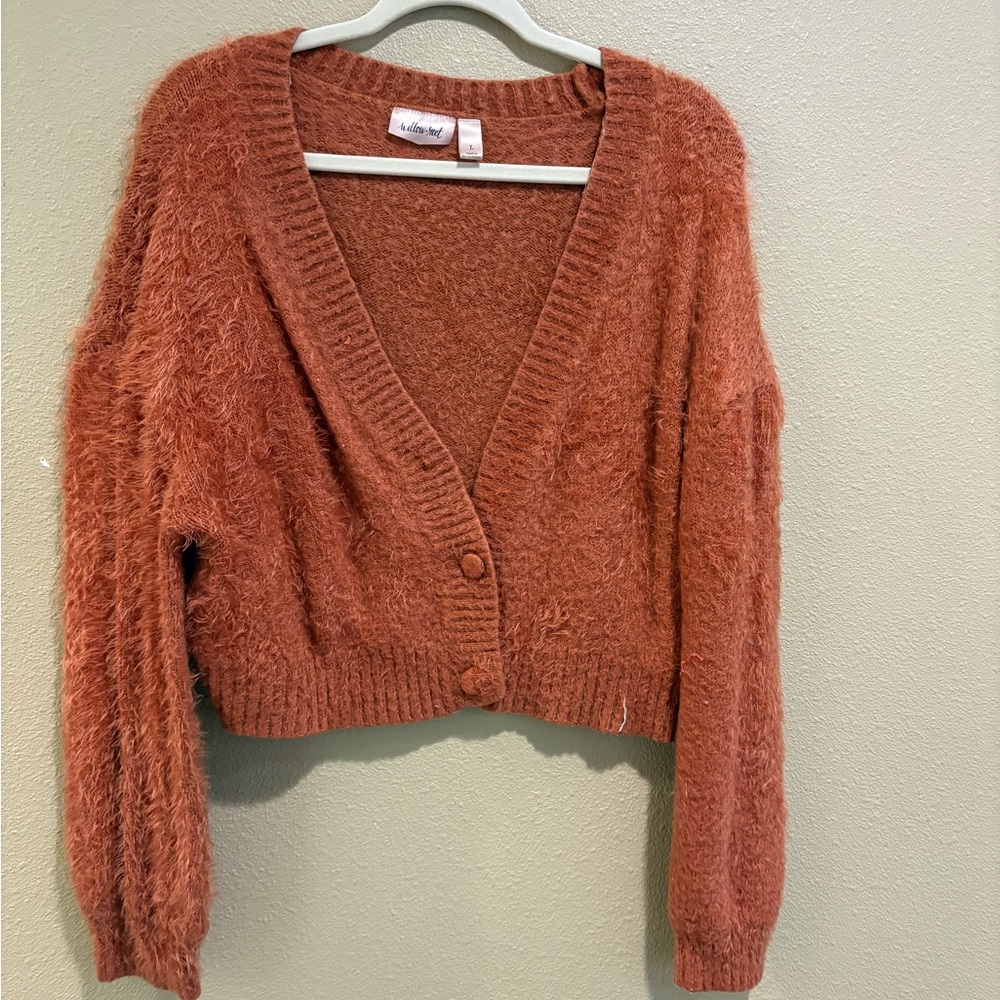 Wild Fable Fuzzy Rust Cardigan